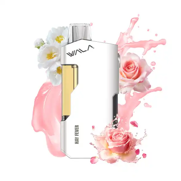 Disposable vapes online Australia - Double Apple 3500 puffs